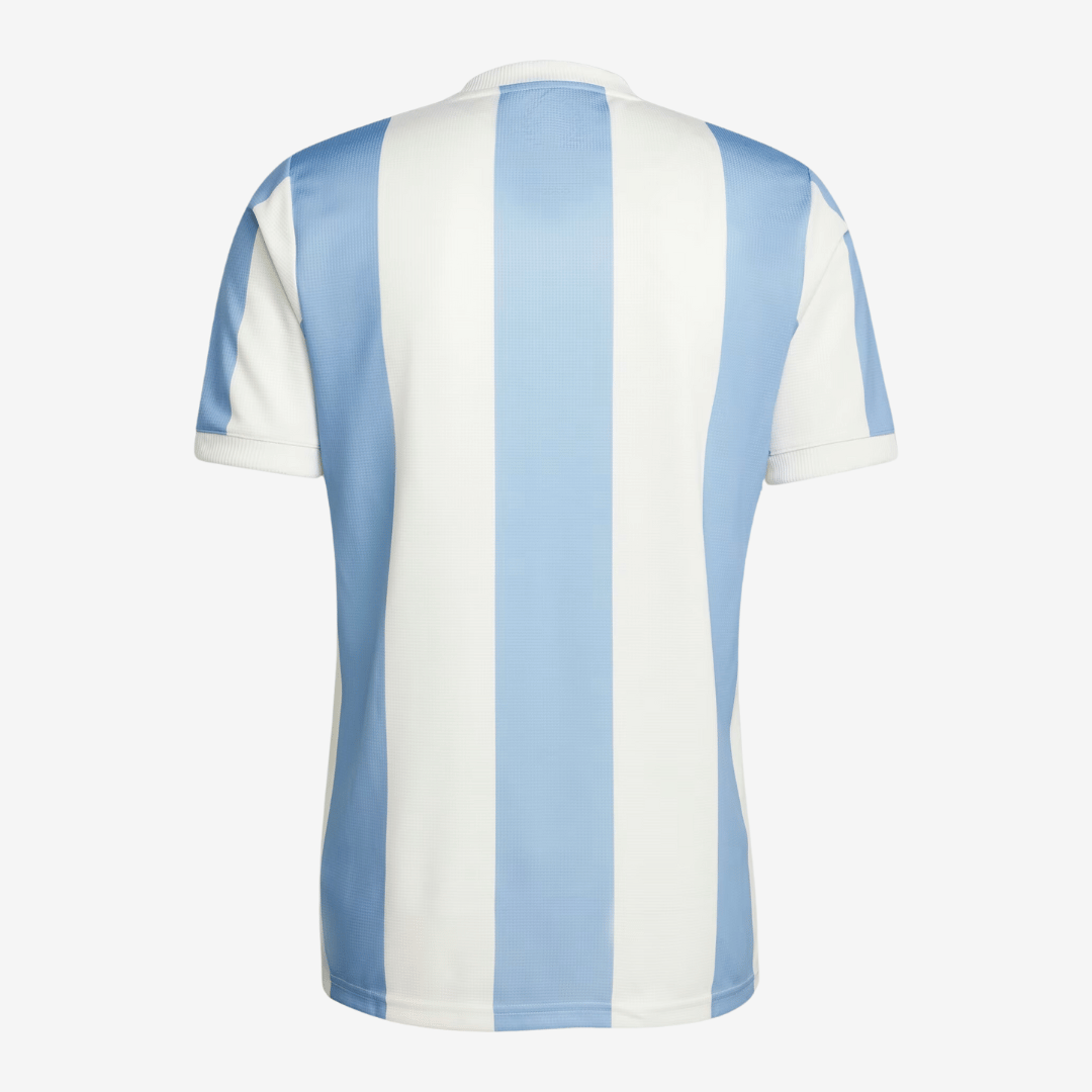 Camisa Adidas Argentina 2024 Anniversary - vista traseira