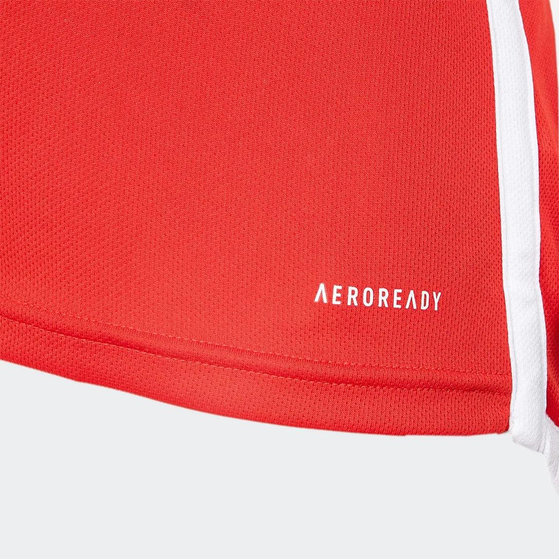 Camisa Adidas Internacional 2024/25 I - detalhe da manga
