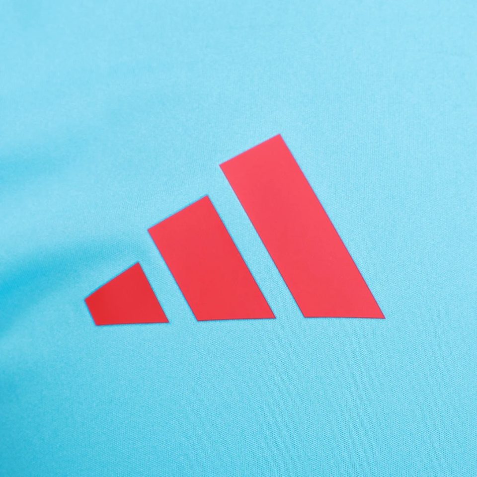 Camisa Adidas Treino Flamengo 2025/26 - detalhe da gola
