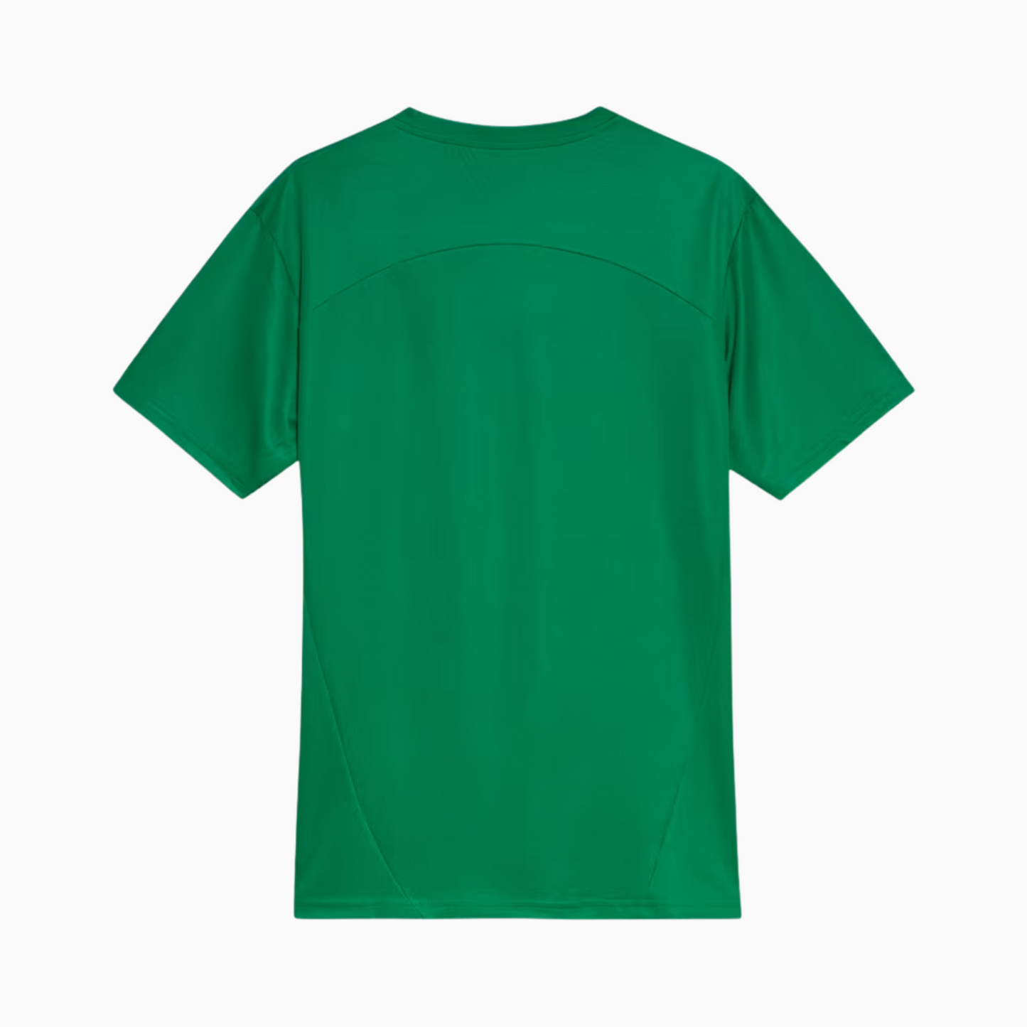 Camisa Palmeiras 2025 – Treino - vista traseira