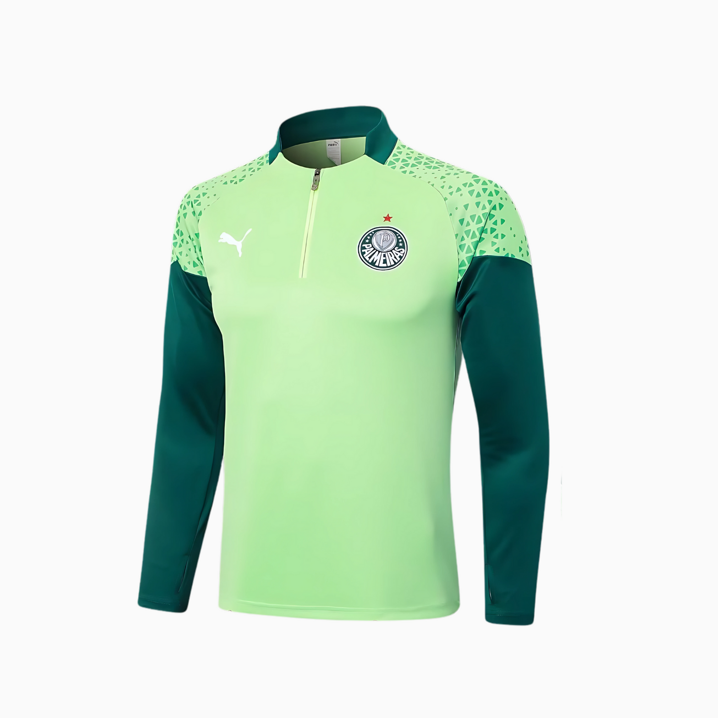 Conjunto de Treino Puma Palmeiras 2024/25 II – Masculino - vista traseira