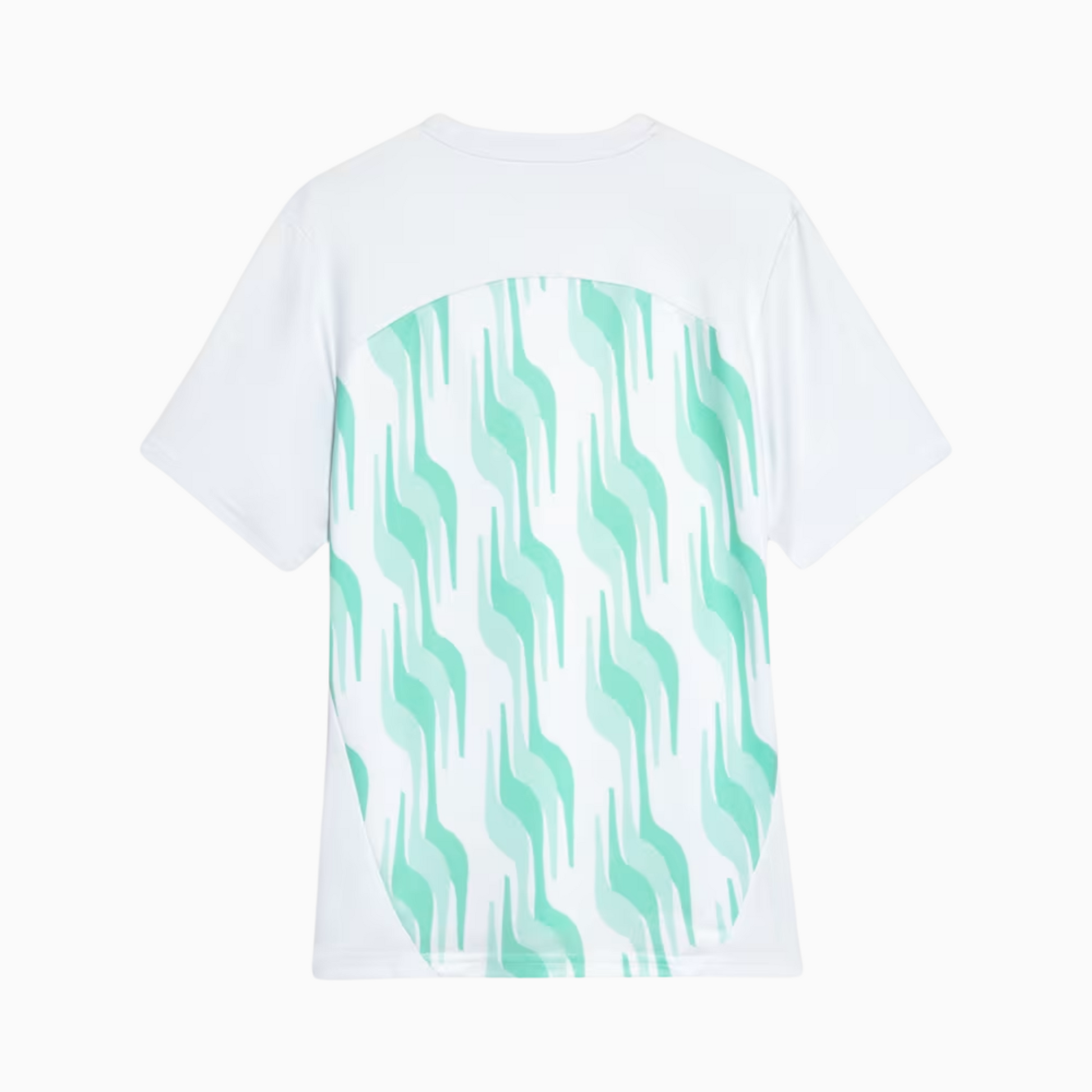Camisa Puma Palmeiras 2025/26 Pré-Jogo - vista traseira