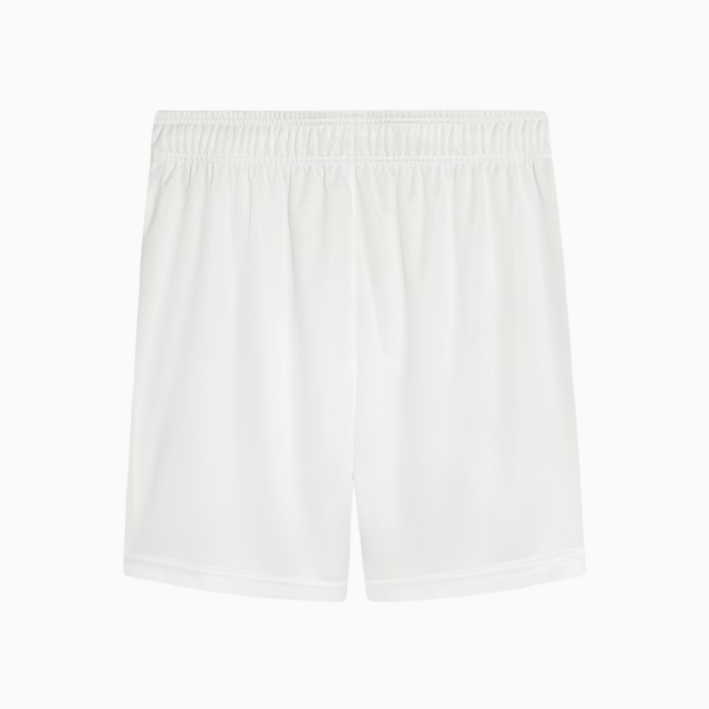 Shorts Palmeiras 2025 I – Torcedor - vista traseira