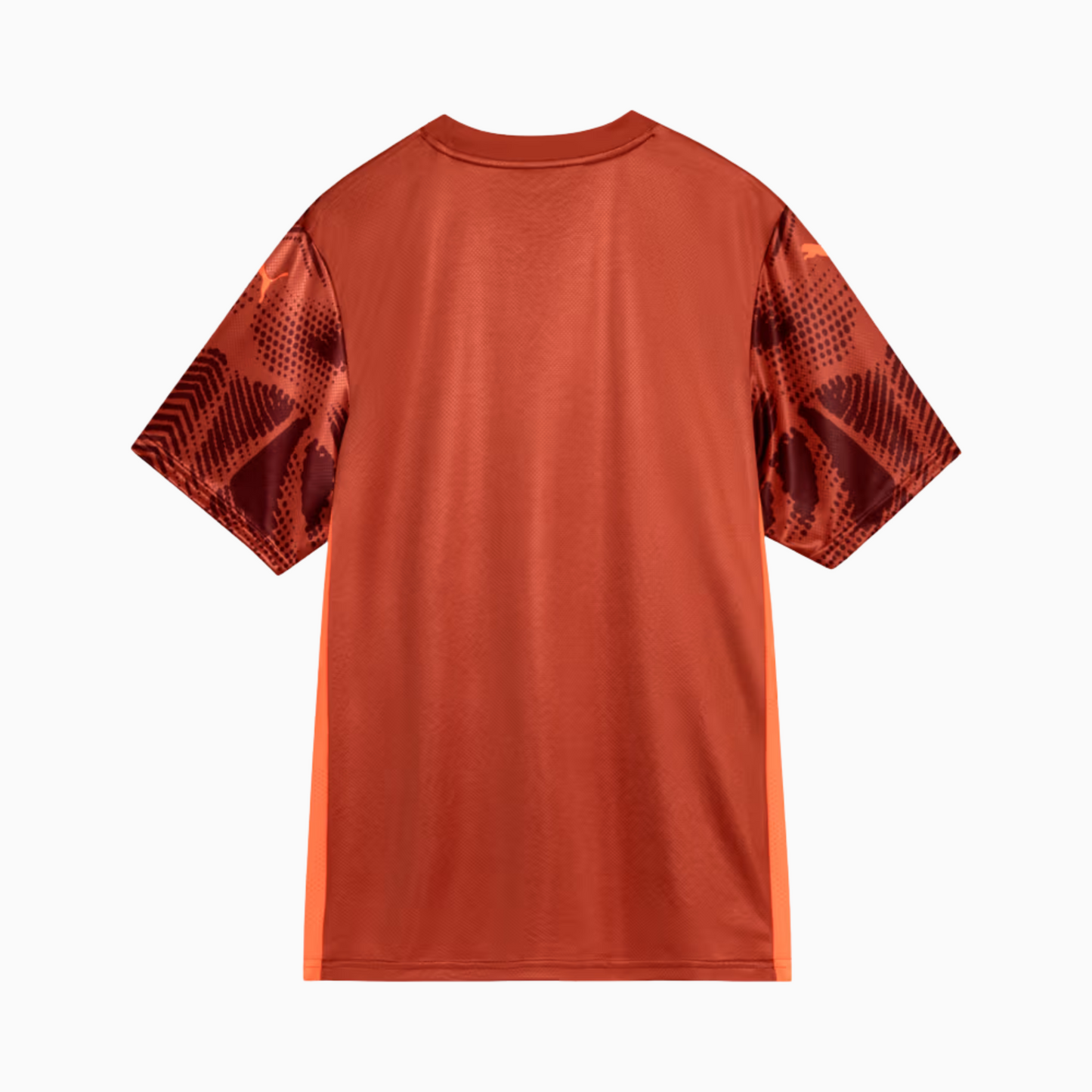 Camisa Goleiro Palmeiras 2025/26 II – Torcedor - vista traseira