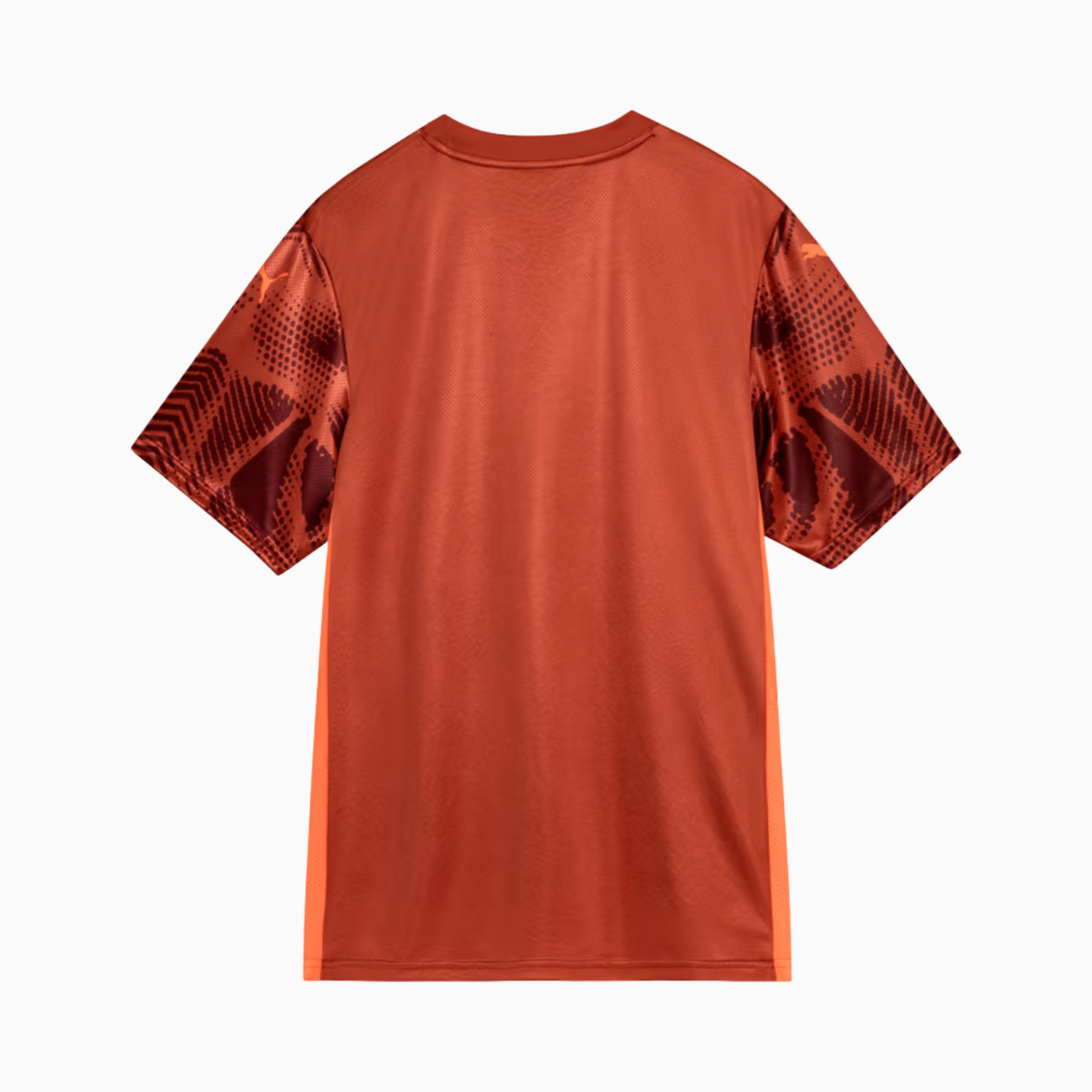 Camisa Goleiro Palmeiras 2025/26 II – Torcedor - vista traseira