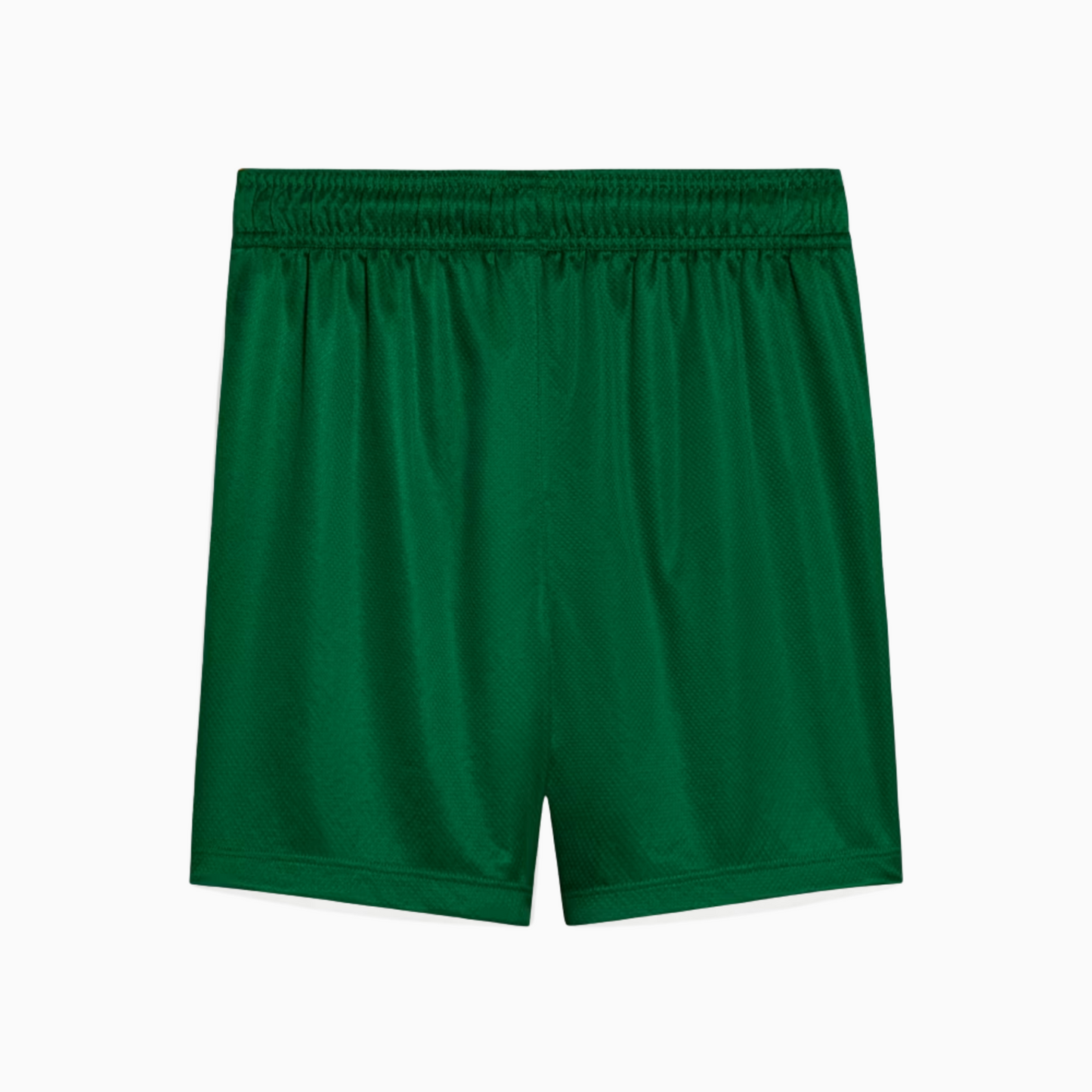 Shorts Palmeiras 2025 II – Torcedor - vista traseira
