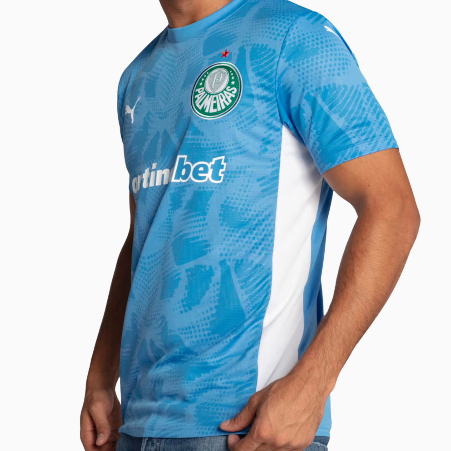 Camisa Goleiro Palmeiras 2025 I – Torcedor - detalhe da manga