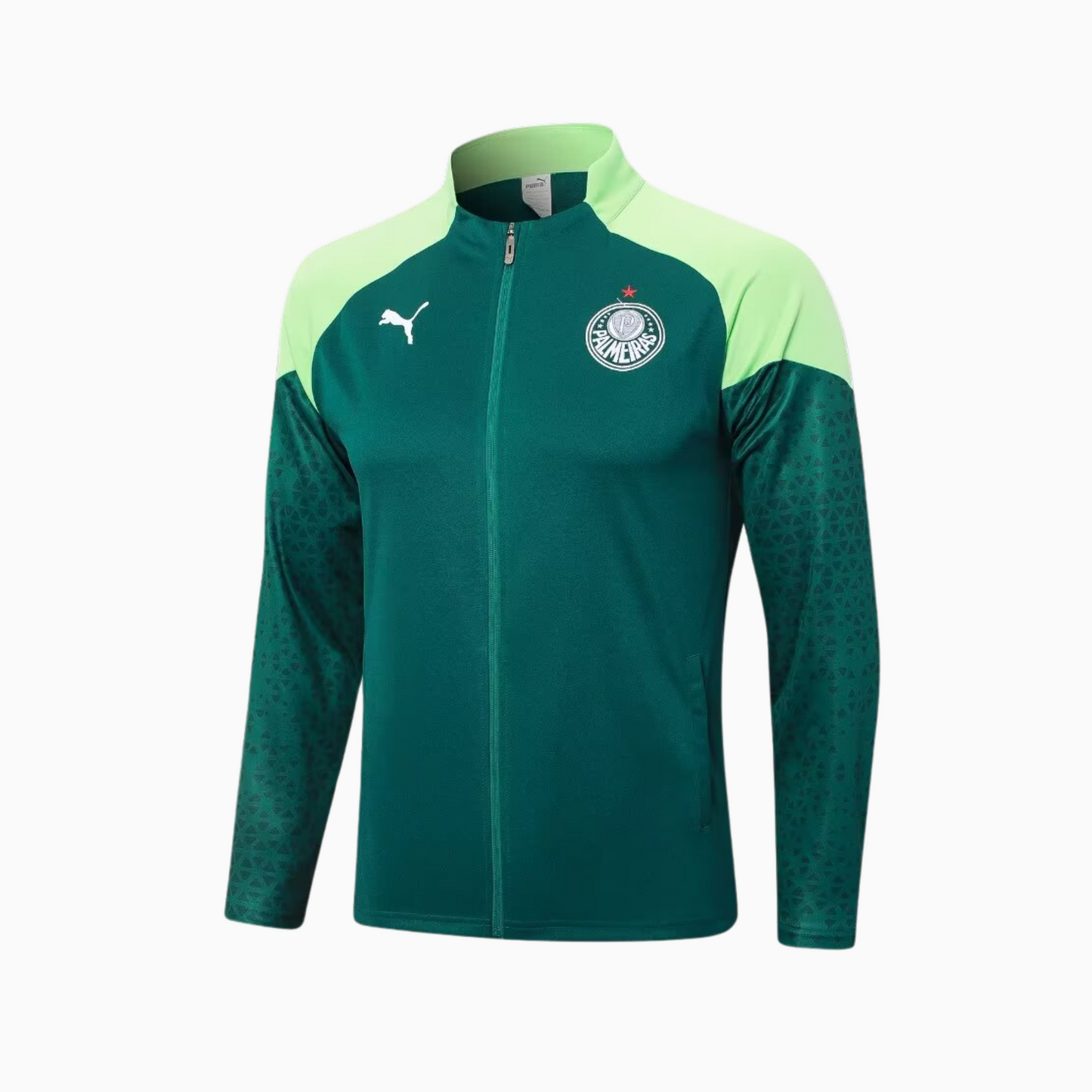 Conjunto de Treino Palmeiras 2024/25 I – Masculino - vista traseira