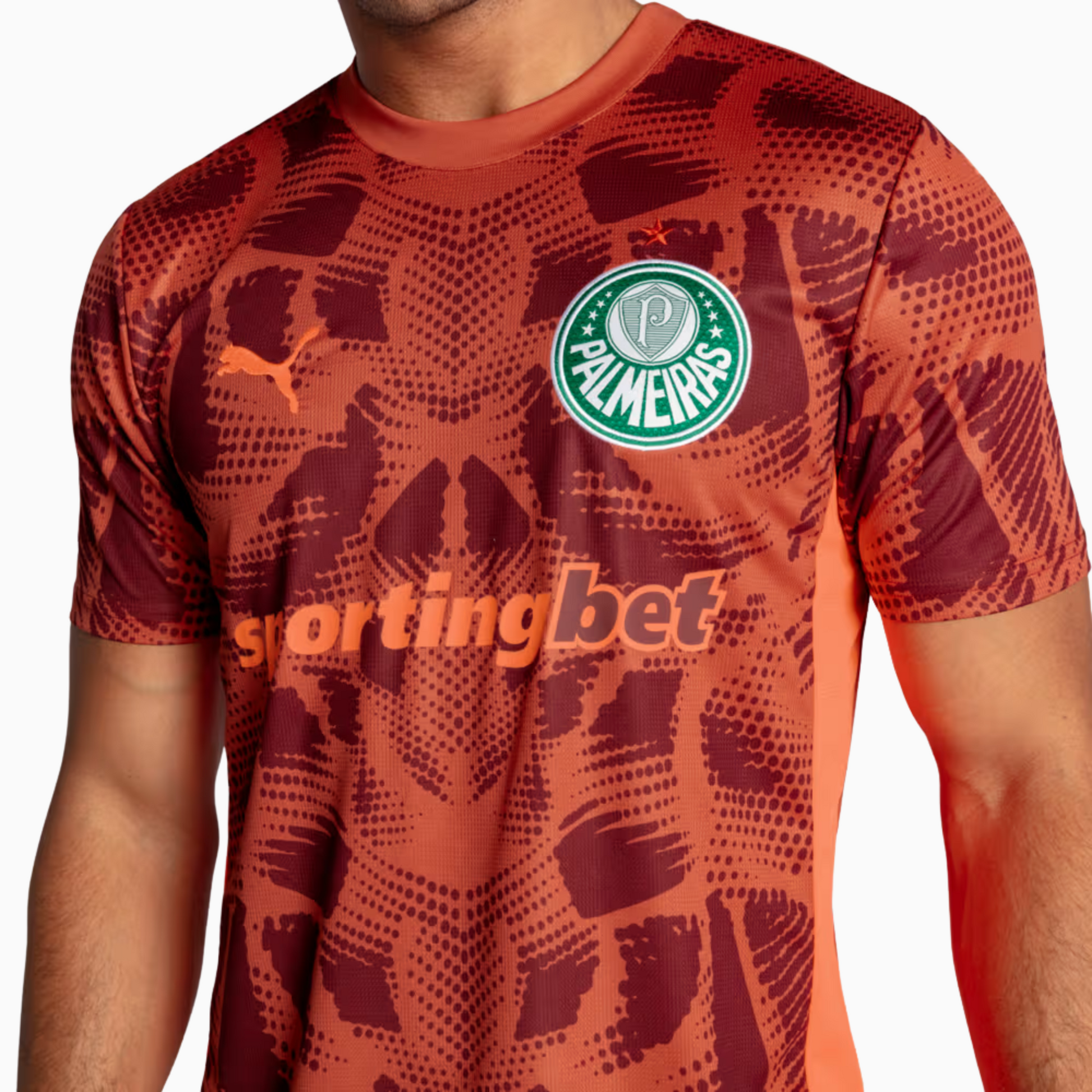 Camisa Goleiro Palmeiras 2025/26 II – Torcedor - detalhe da gola