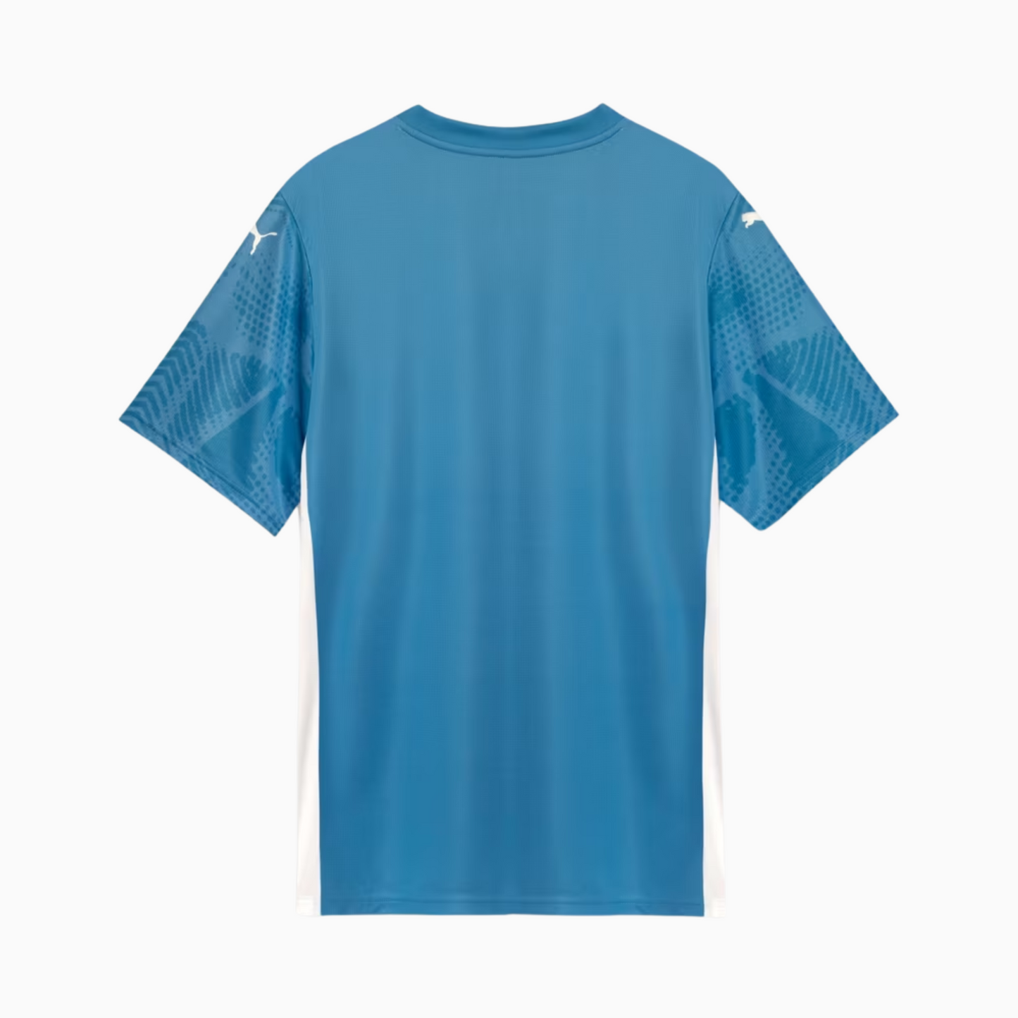 Camisa Goleiro Palmeiras 2025 I – Torcedor - vista traseira