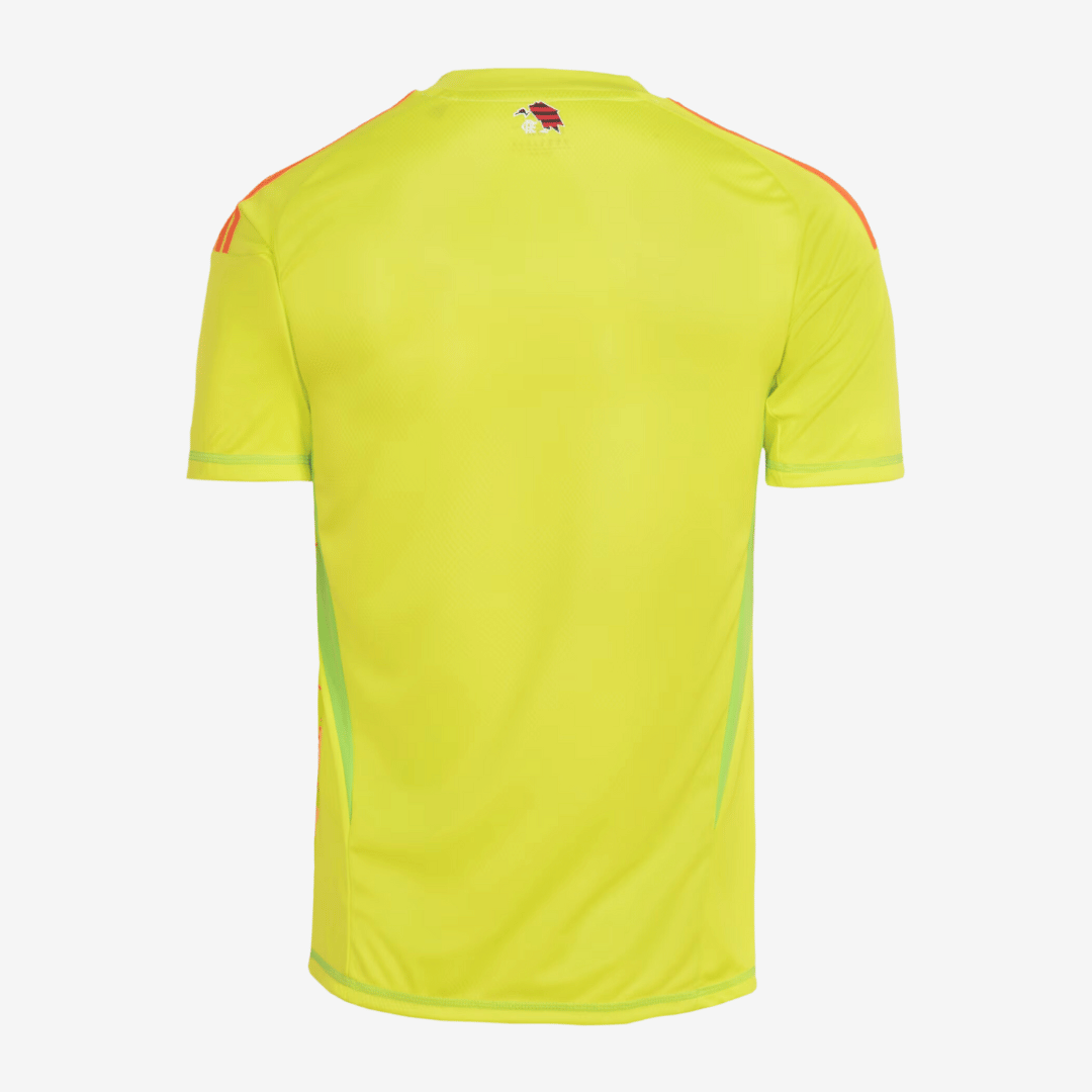 Camisa Adidas Flamengo 2025/26 I Goleiro - vista traseira