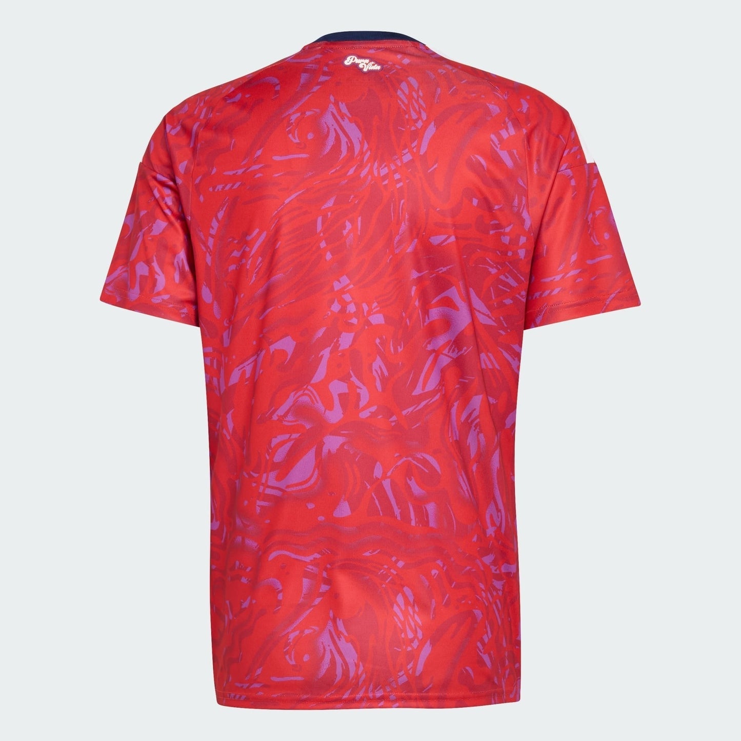 Camisa Costa Rica 2026/27 I - detalhe da gola
