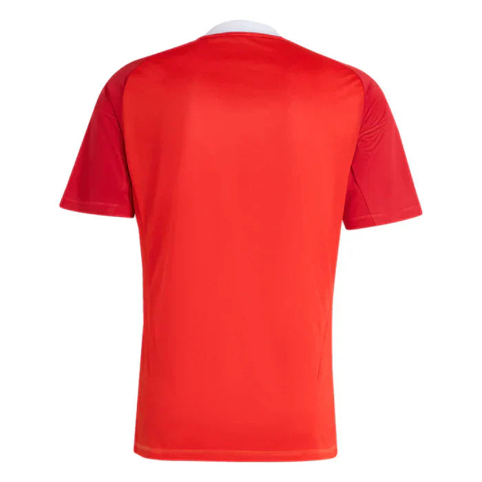 Camisa Goleiro III 2025/26 - CRF - detalhe