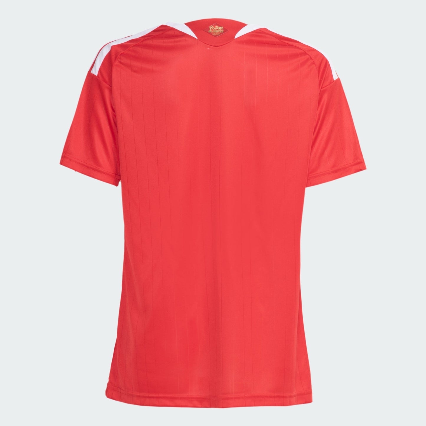 Camisa Feminina Internacional 2026/27 I - vista traseira