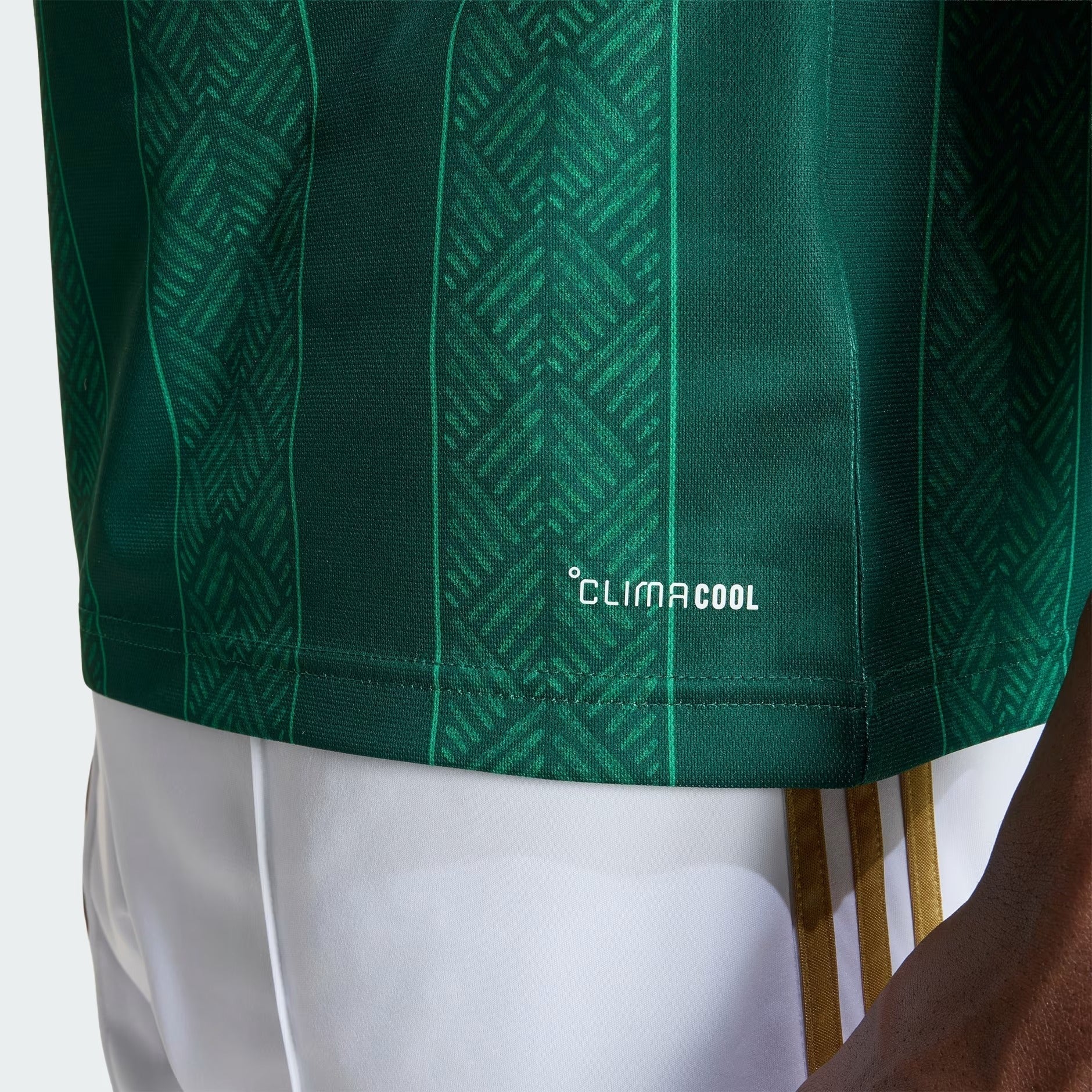 Camisa África do Sul 2026/27 I - detalhe