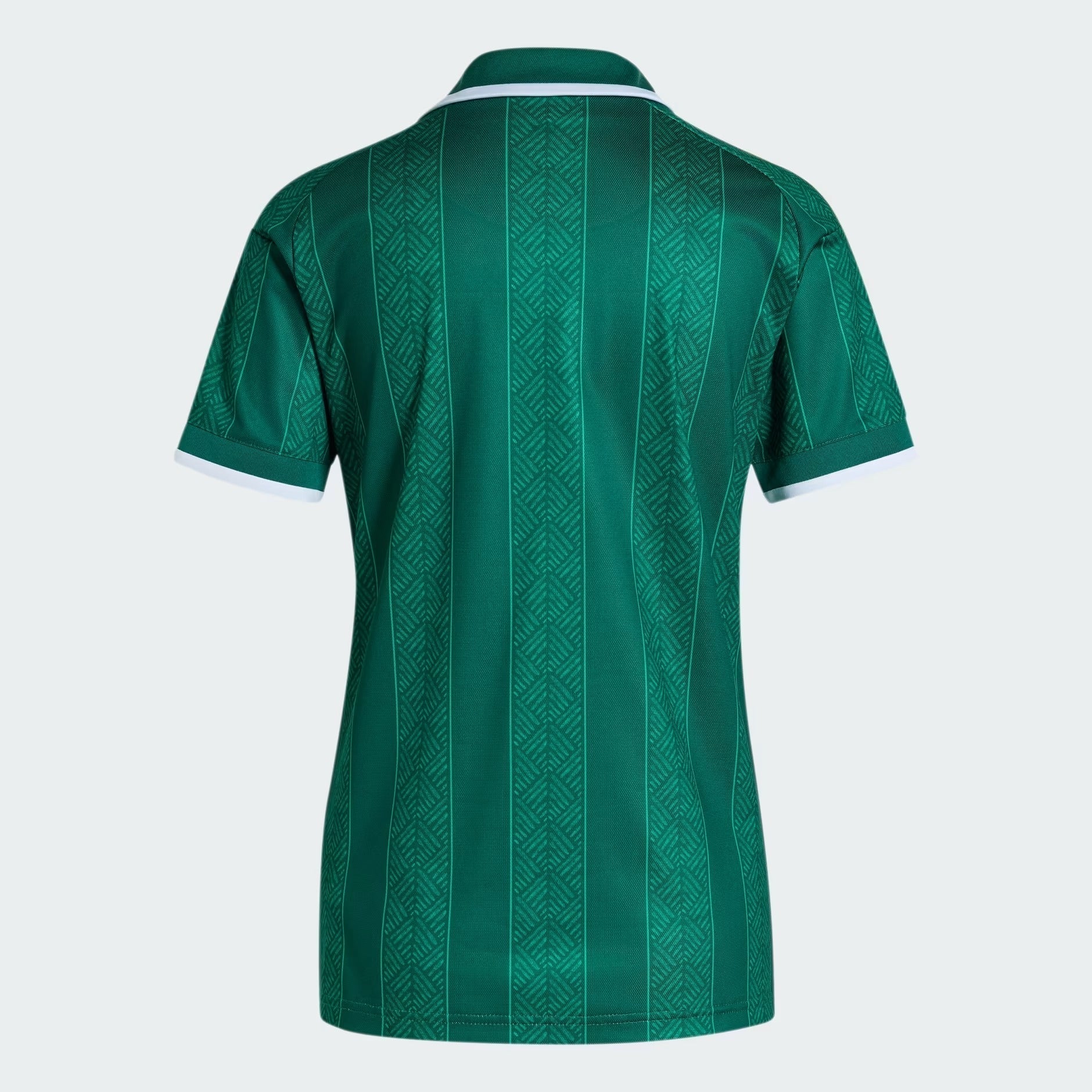 Camisa Feminina África do Sul 2026/27 I - detalhe da manga