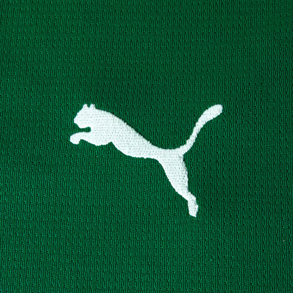 Conjunto Infantil Palmeiras 2026/27 I - detalhe da manga