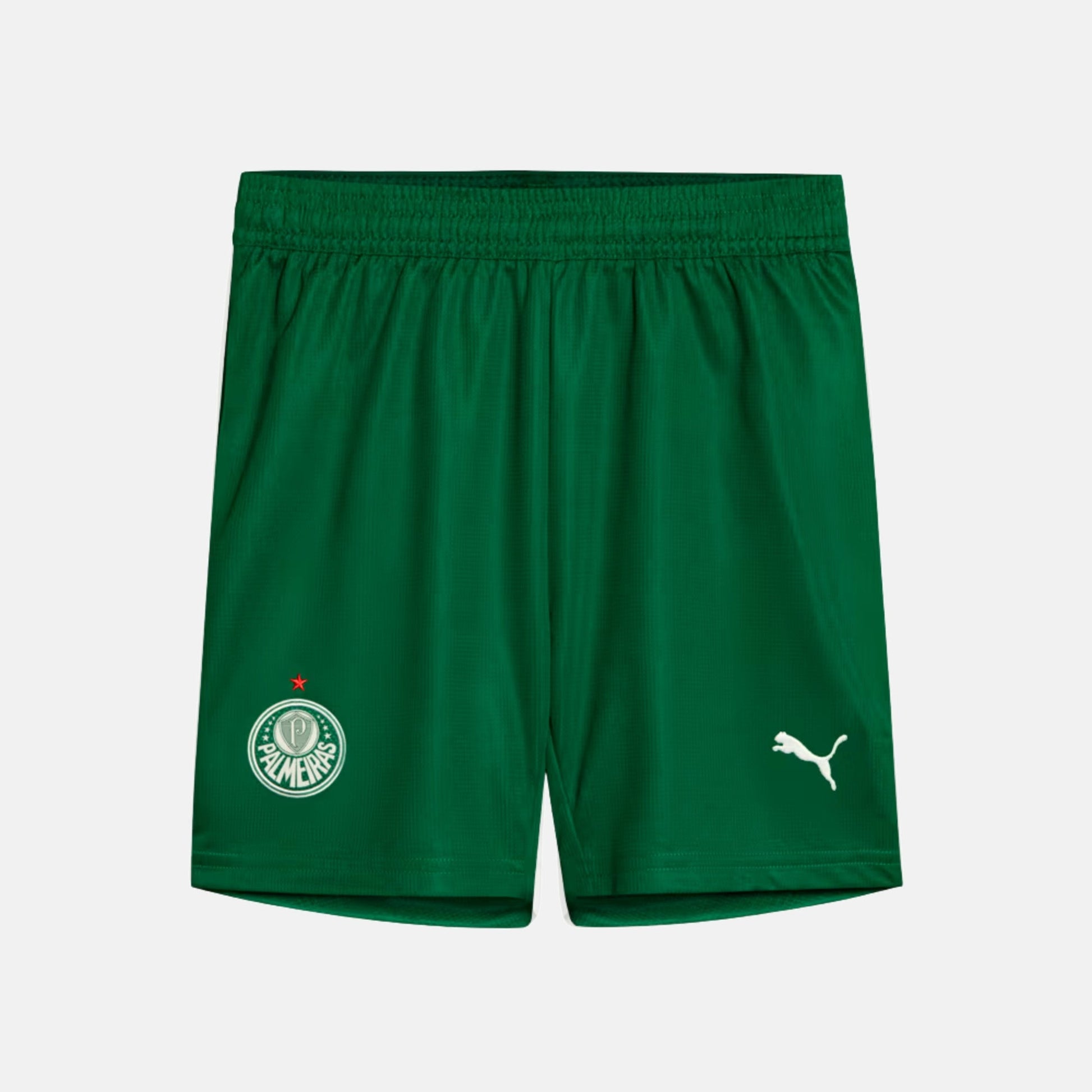 Shorts Palmeiras 2025 II – Torcedor